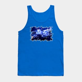 Lookdown Fish Tank Top